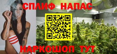гашик Тара
