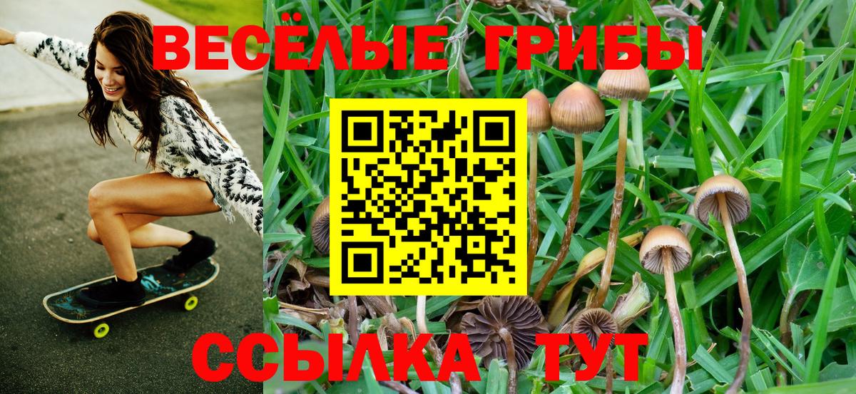 Можга  Галлюциногенные грибы Psilocybine cubensis  Вход с VPN 